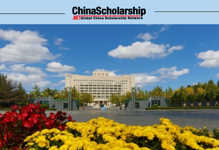2022 DUFE International Chinese Language Teachers Scholarship
