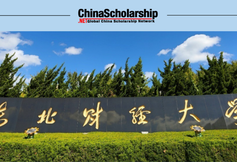 2022年东北财经大学国际中文教师奖学金申请办法