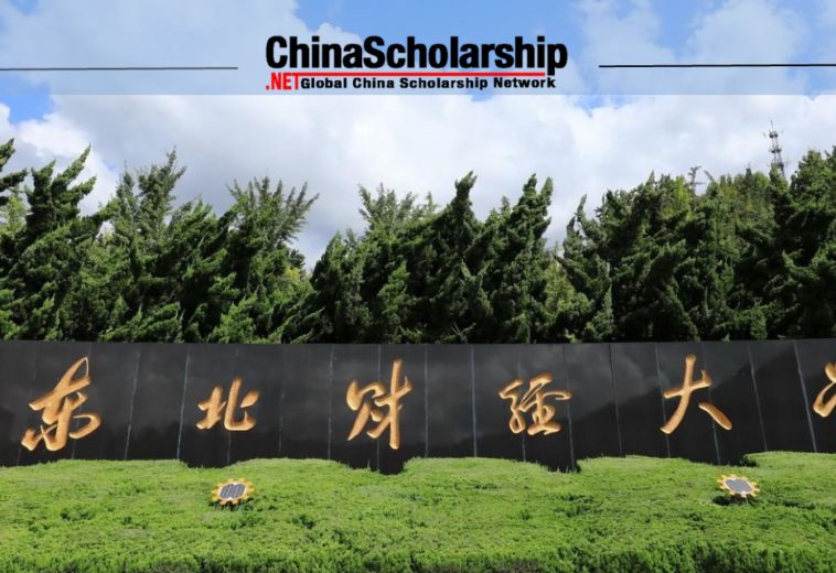 2021年东北财经大学国际中文教师奖学金项目