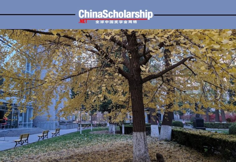 2013年北京师范大学中国政府奖学金（孔子学院奖学金）项目