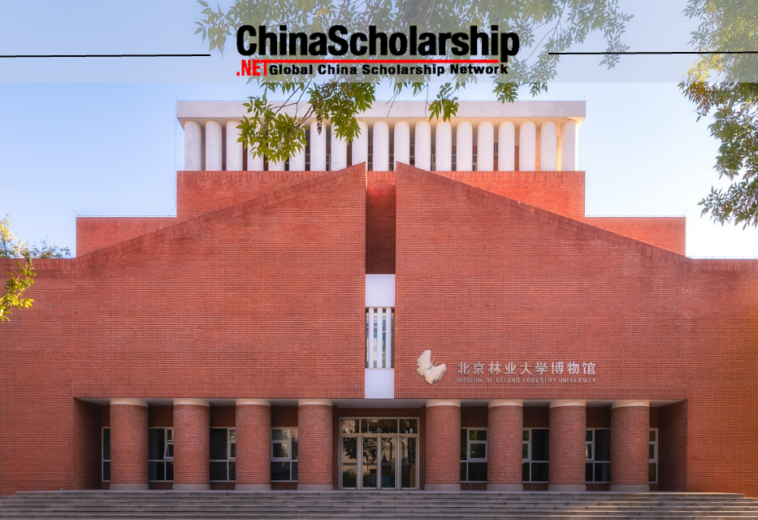 2023年北京林业大学中国政府奖学金高校研究生项目