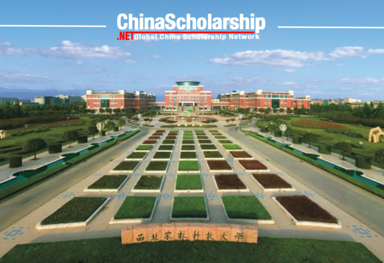 2023 Northwest A&F University for Chinese Government Scholarship