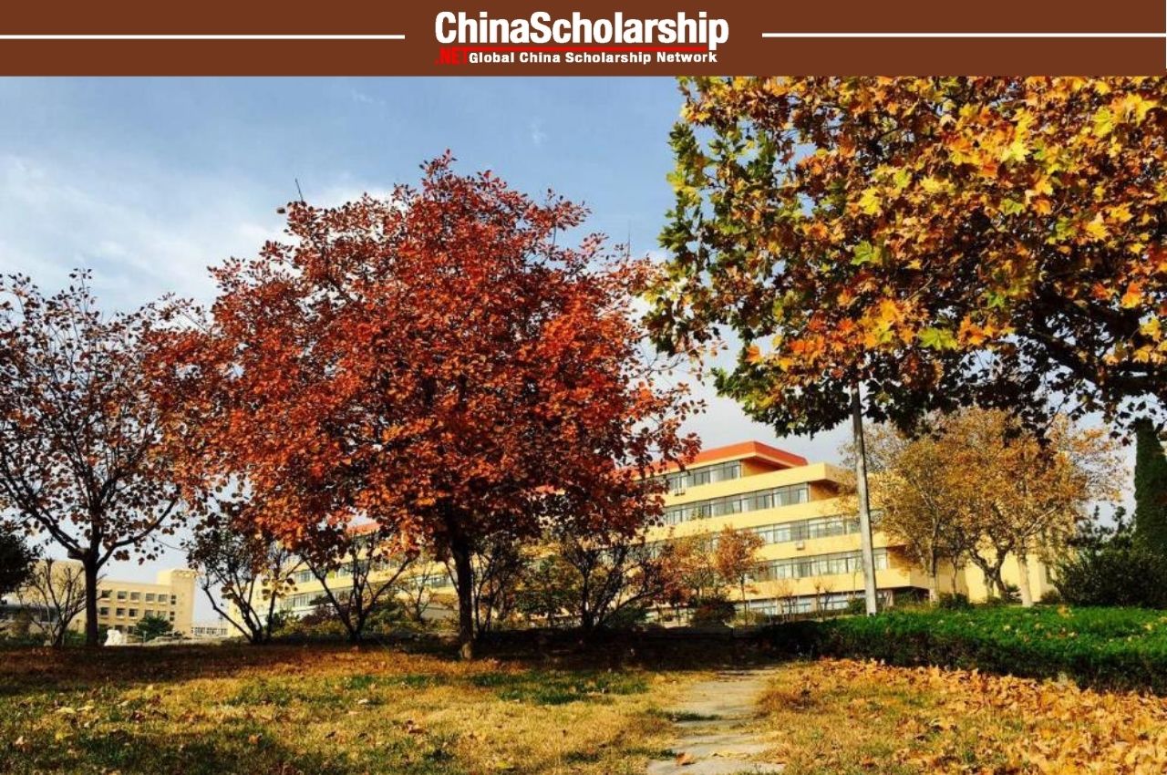 Bachelor of Chinese Language Program For International Students 2023